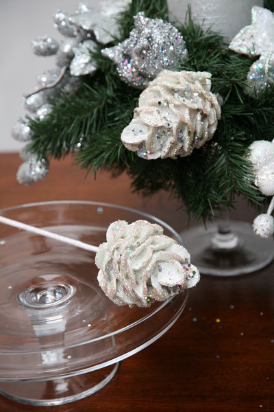 311FW248