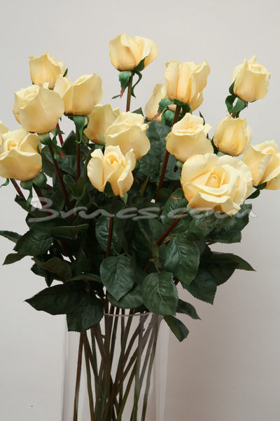57GT2166